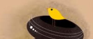 Evita anidaciones en tus chimeneas Evita anidaciones en tus chimeneas